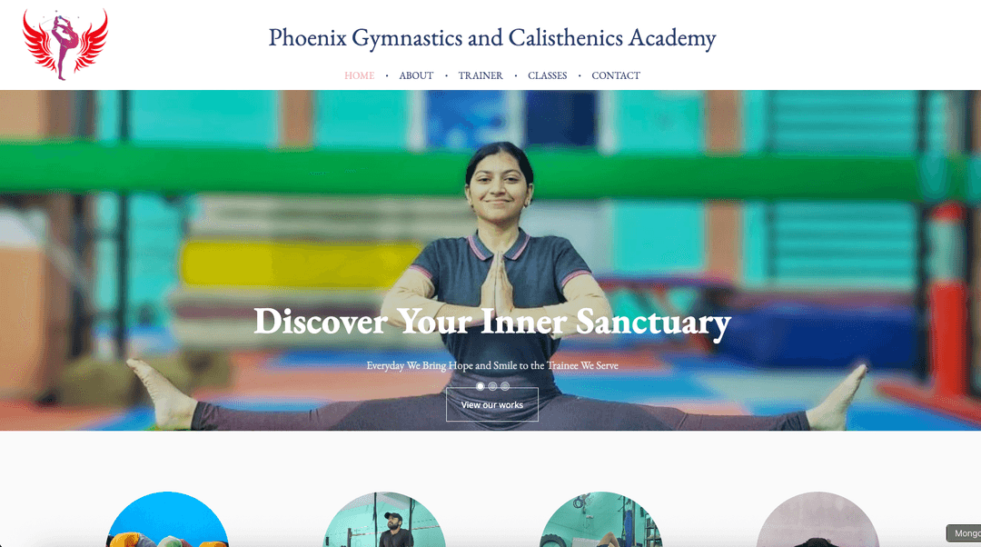 Phoenix Gymnastics Academy