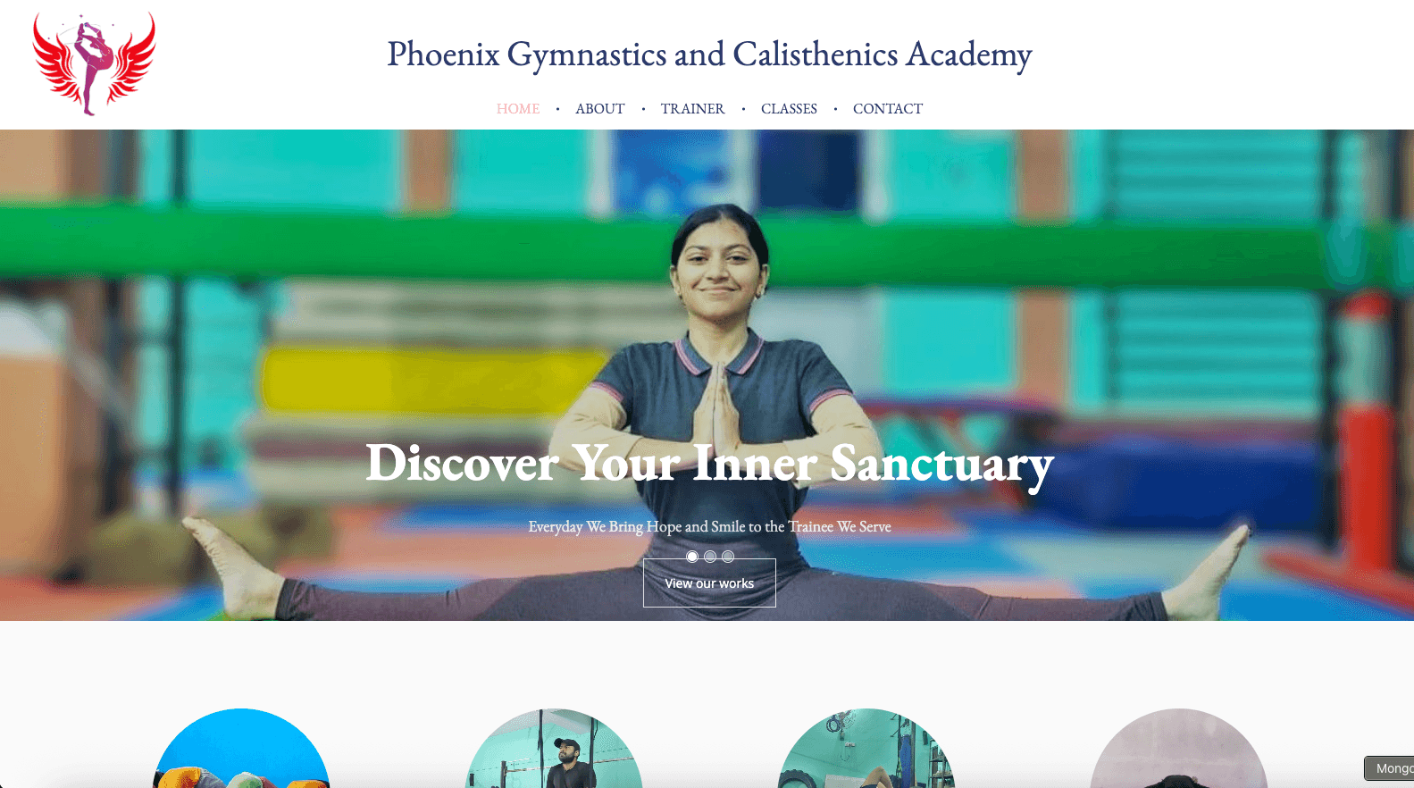 Phoenix Gymnastics Academy